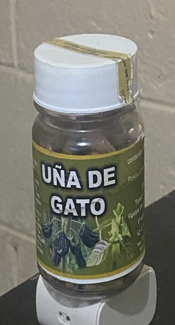 astrologia